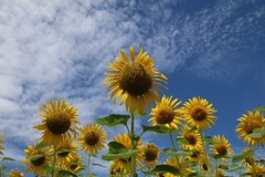 R5.10月号コラム